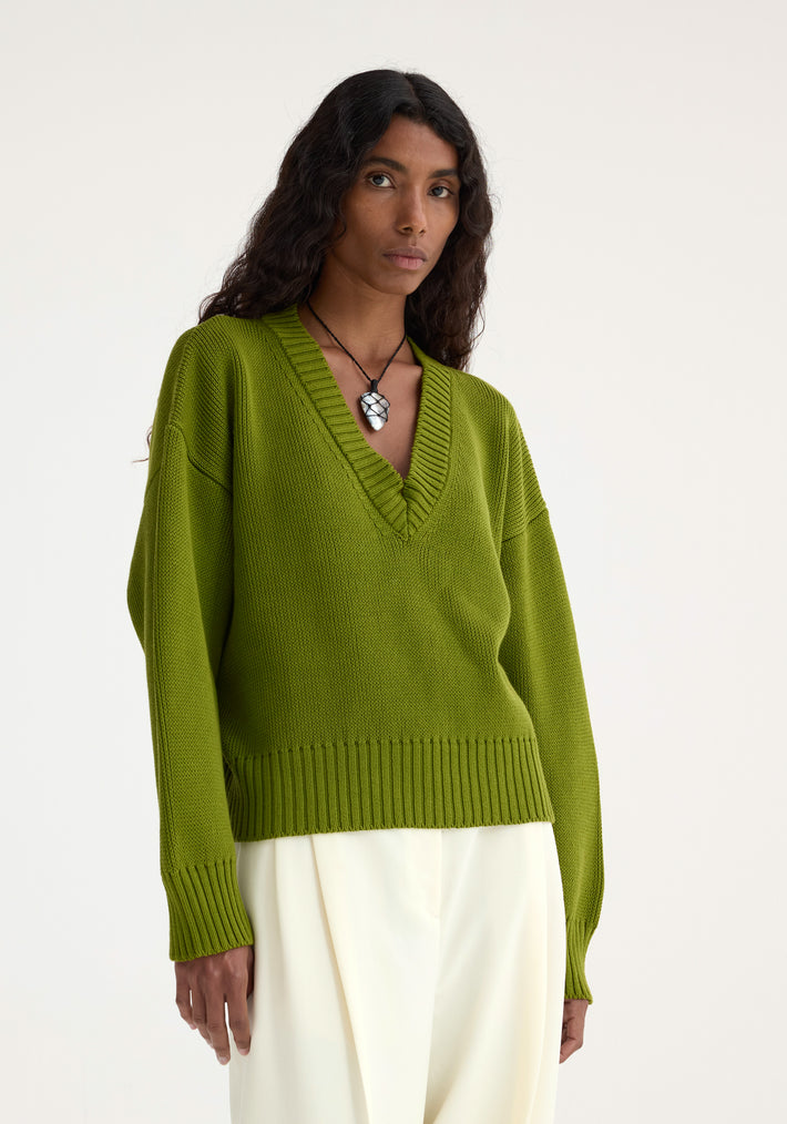 V-neck knitted jumper | garden green