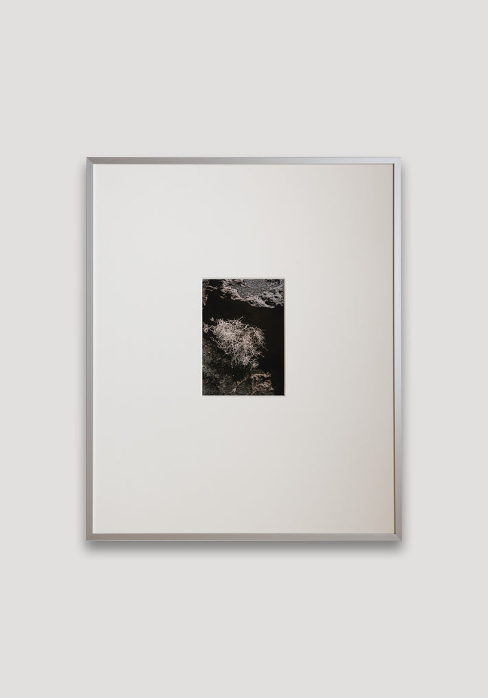 Framed Print | Aluminum