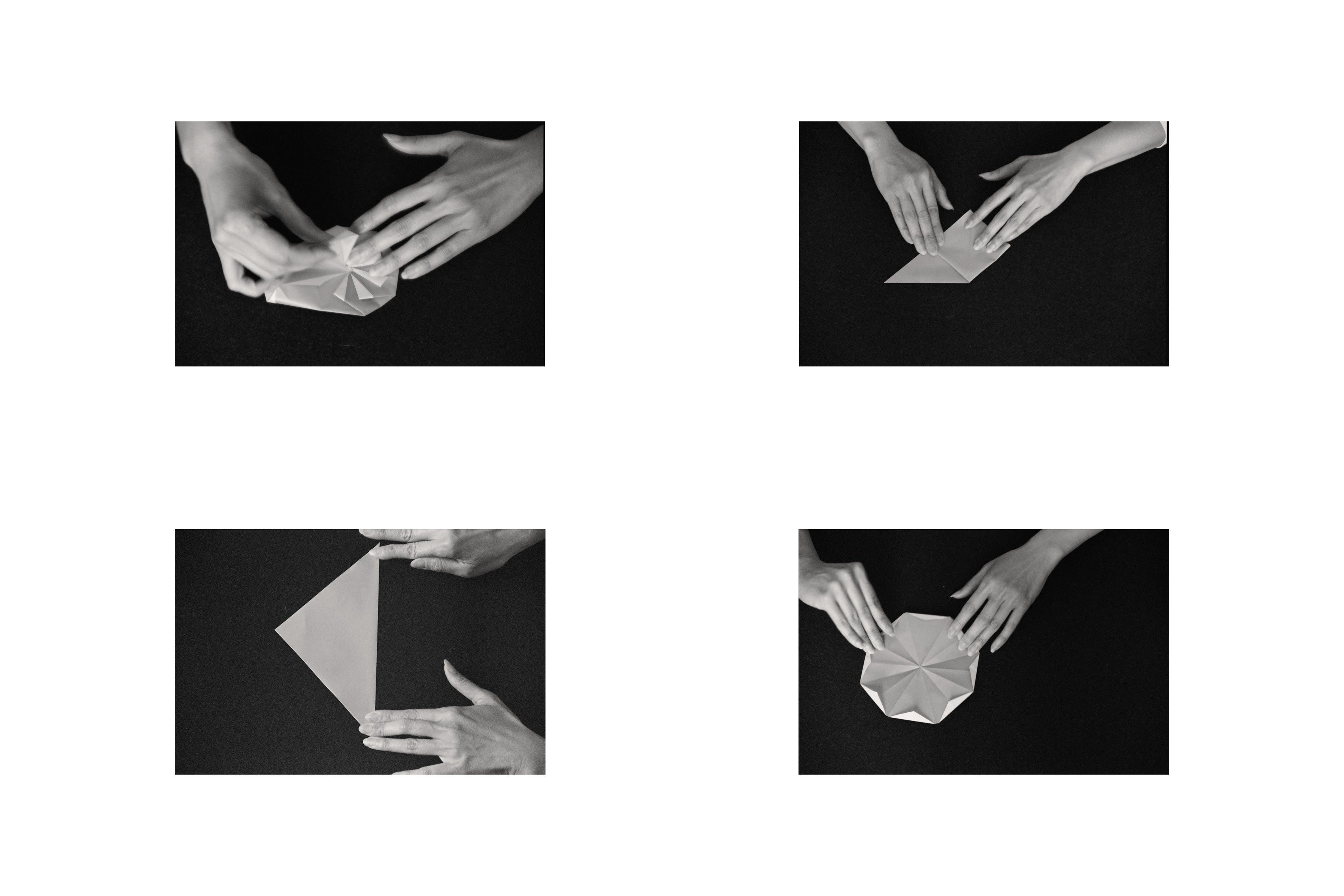 The Origami– Róhe