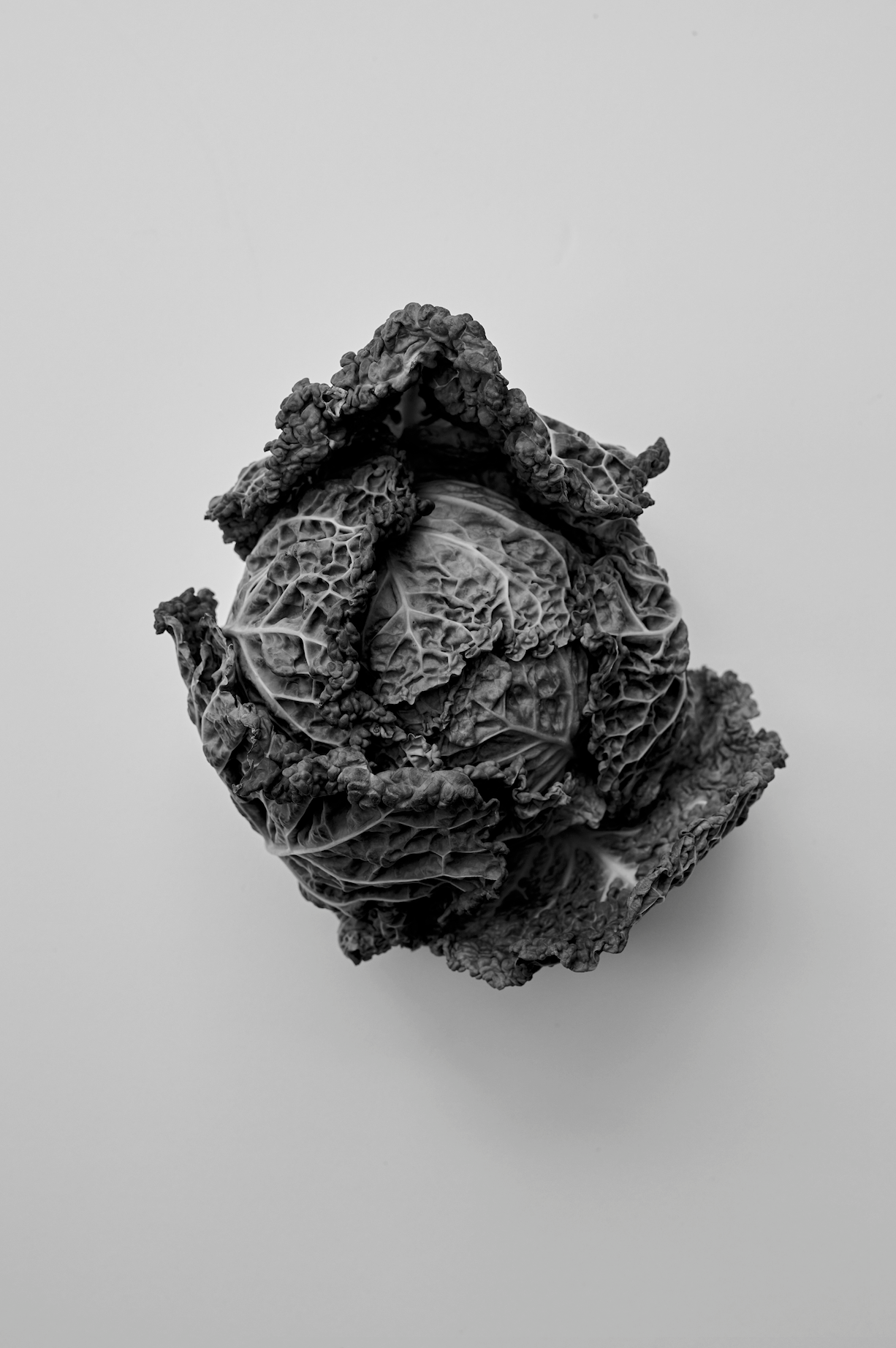Róhe Cookbook | red