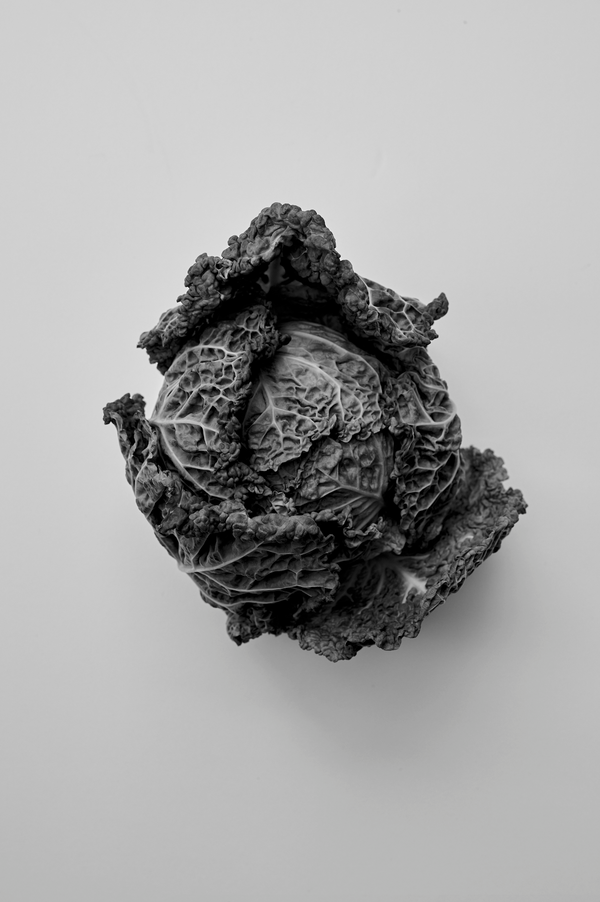 Róhe Cookbook | red