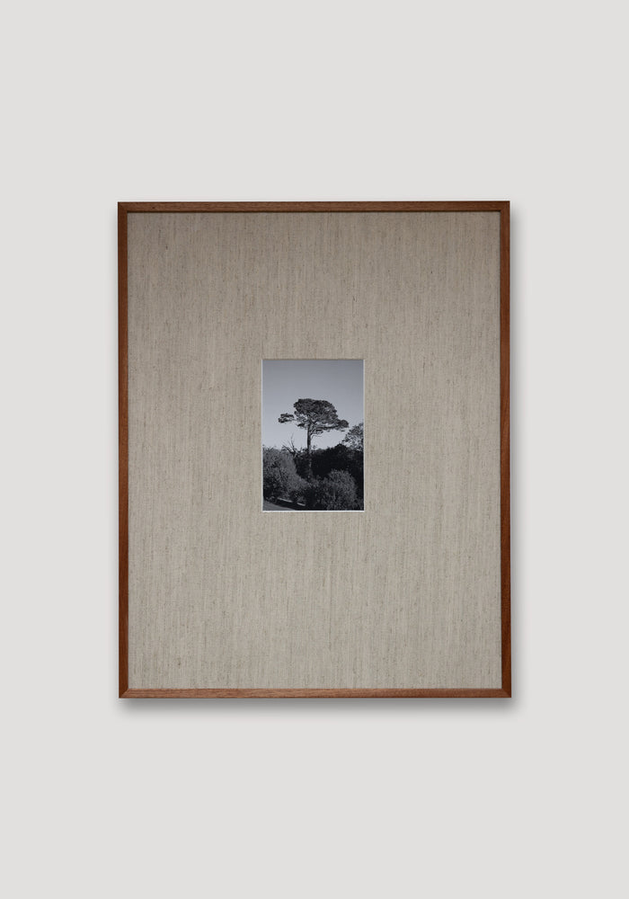 Framed Print | Wood